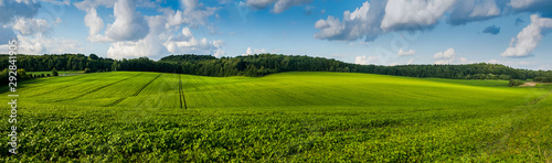 Fotomural fresh green Soybean field hills, waves with beautiful sky