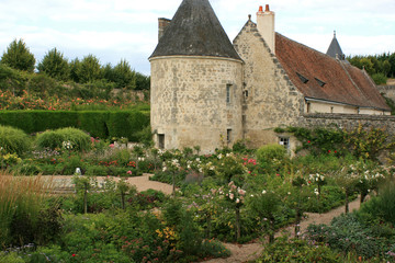 garden and castle in touraine (france)