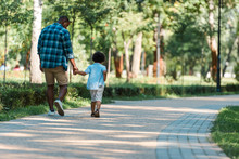 Back View Of Curly Kid Holding Hands With African American Father And Walking In Park