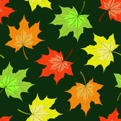 Seamless pattern with colorful maple leaves on dark green background. Floral design for fabric, wallpaper, textile, web design.