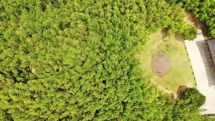 Wall Mural - Damyang, South Korea - 24 July 2019 Juknokwon. 4K Aerial Drone Footage View over the Bamboo Forest..