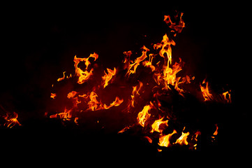 Flame of fire on a black background