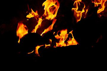 Flame of fire on a black background