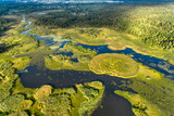Fototapeta Las - Beautiful aerial shot of a large forest lake.