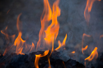 Wall Mural - Dry grass burns in a field with smoke and fire.