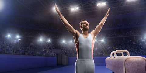 Wall Mural - Male athlete standing happily near a Pommel horse in a professional gym.