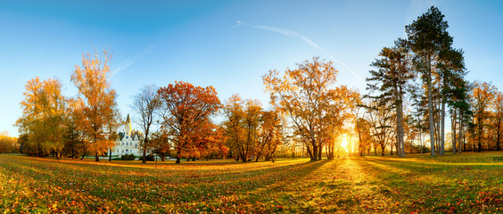 Wall Mural - Panorama of autumn tree in forest park at sunset