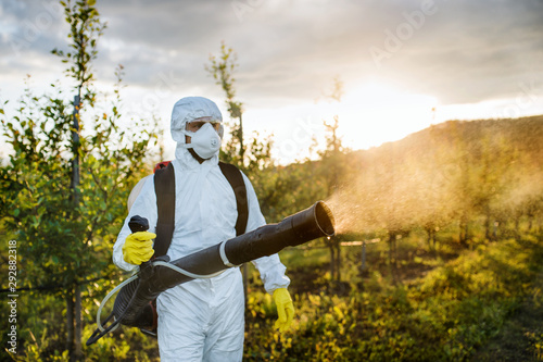 Fotografía A farmer outdoors in orchard at sunset, using pesticide chemicals