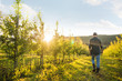 © Halfpoint - A rear view of farmer walking outdoors in orchard at sunset. Copy space.
