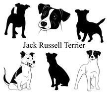 Set Of Jack Russell Terrier. Collection Of Pedigree Dogs. Black And White Illustration Of A Dog Jack Russell. Vector Drawing Of A Pet. Tattoo.