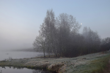 Wall Mural - mist picture with tree silhouettes in the morning, beautiful mist on the lake, frost on the ground