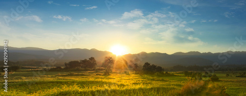 Fotografía Sunset over vast blossoming meadow landscape
