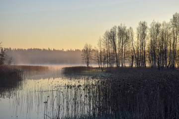 Wall Mural - view of the beautiful morning by the lake, sunlight through the trees, beautiful reflections of the lake