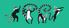 Set Of Black And White Lemurs On Green Background. Vector Illustration.