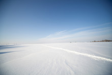  Snowy Field In Winter. Winter Landscape With  Snowy Fields