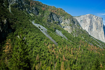 Wall Mural - Majestic Yosemite