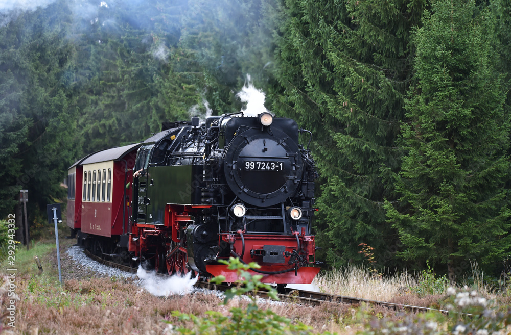 Harzer Schmalspurbahn  - obrazy, fototapety, plakaty 