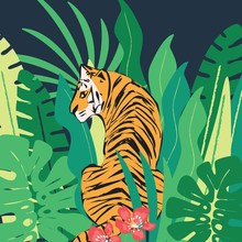 Hand Drawn Tiger With Exotic Tropical Leaves, Flat Vector Illustration
