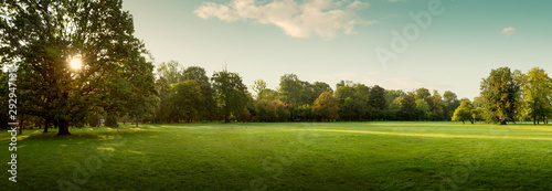 Fotomural Panorama of autumn city park at sunrise