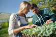 © goodluz - Couple of farmers checking seedlings