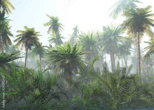 tropical-jungle-in-the-fog-palms-in-the-morning