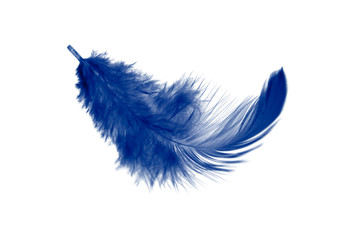 Wall Mural - single blue feather isolated on white background. down swan feather