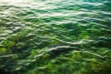 Clear Lake Water Background
