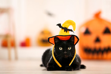 Wall Mural - Black cat in halloween hat lying on the floor