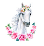 Fototapeta Konie - Head of a white horse with pink flowers. cute watercolor clipart. Trendy cartoon horse. Template. Close-up. Clip art. Hand drawn. Template. Hand painted