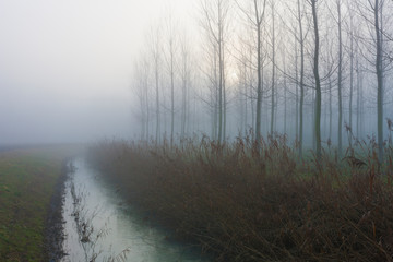 The natural park of river Sile