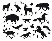 Vector Black Set Bundle Of Wild American Animals Silhouette Isolated On White Background