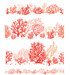  Set of Corals border seamless patterns