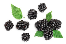 Blackberry With Leaf Isolated On A White Background Closeup