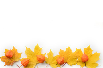 Wall Mural - autumn composition of frame of maple leaves and physalis. flat lay, top view