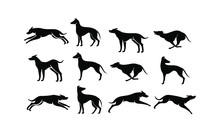 Set Hound Dog Logo Icon Design