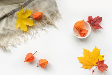 Wall Mural - autumn composition of frame of maple leaves and physalis. flat lay, top view