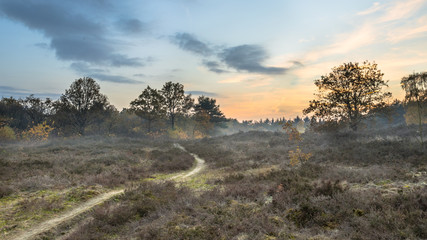 Poster - Hiking trail through heathland in autumn colors