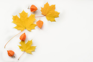 Wall Mural - autumn composition of frame of maple leaves and physalis. flat lay, top view