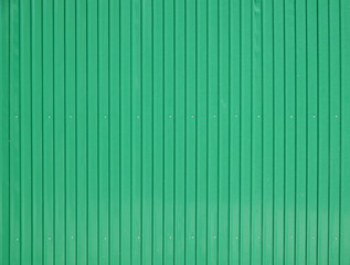 Sticker - Wall zinc sheets texture green