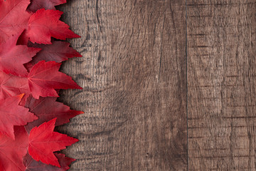fall color nature background, red maple leaves on a rustic dark wood background