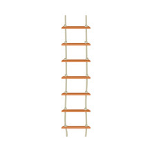 Rope Ladder Hanging From Above With Wooden Step Vector Illustration