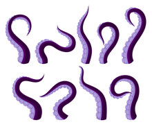 Set Of Vector Illistrations Of Octopus Or Squid Tentacles