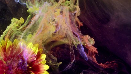Wall Mural - Close-up gaillardia aristata. Acrylic colors and ink in water.