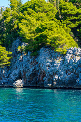 seashore, rocks washed by water and vegetation on them