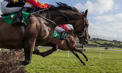 Wall Mural - Close-up on Race horses and jockeys jumping over a hurdle