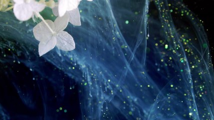 Wall Mural - luxurious white  Hydrangea flower. Wedding, Valentine's Day, Mother's Day.