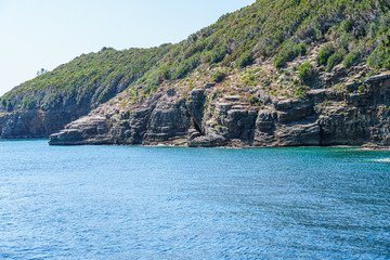 seashore, rocks washed by water and vegetation on them