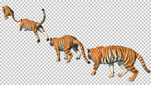 Bengal Tiger Pose Jump Animation With Pose To Pose By 3d Rendering Include Work Path For Alpha.