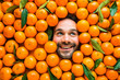 Man with ripe oranges or clementines Face of grimacing man in tangerines area