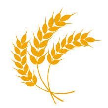 Wheat Or Barley Ears. Harvest Wheat Grain, Growth Rice Stalk And Whole Bread Grains Or Field Cereal Nutritious Rye Grained Agriculture Products Ear Symbol. Isolated Vector Icon